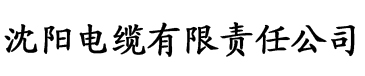 老卫日淑容电缆厂logo